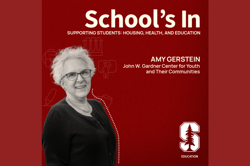 Amy Gerstein is the executive director of the John W. Gardner Center for Youth and Their Communities.