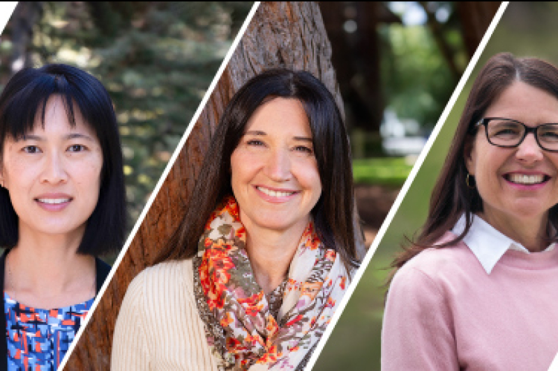 The three 2025 Alumni Excellence in Education Awardees -- Tina Cheuk, Laura Evans, and Heather Kirkpatrick -- in a photo collage, smiling