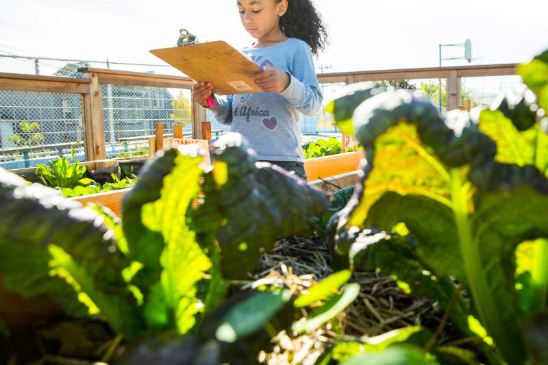 Photo of young girl in garden by Education Outside