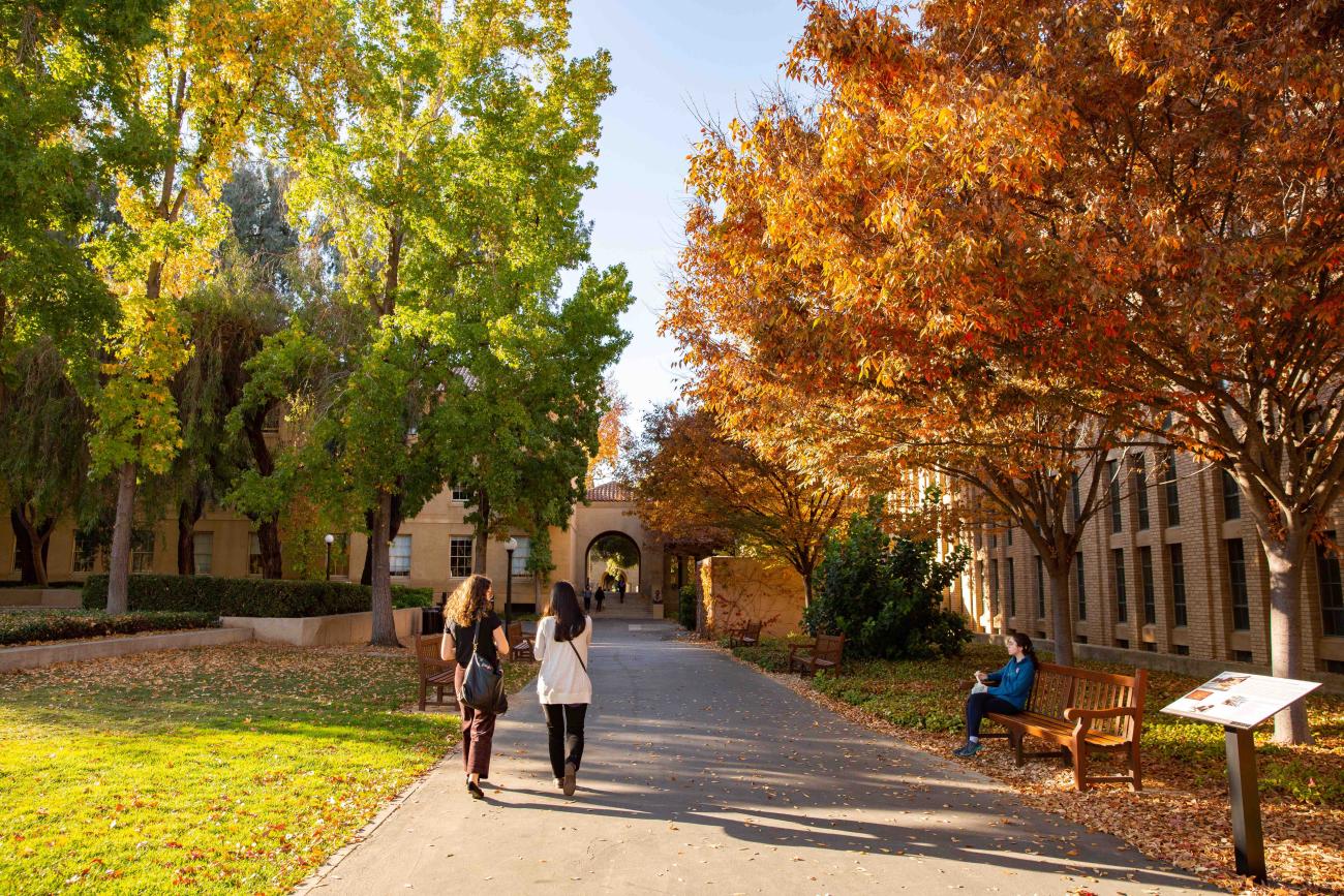Photo of campus in fall