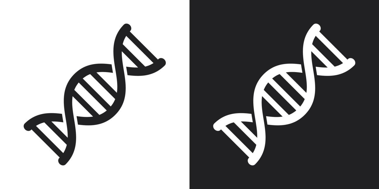 illustrations of DNA helixes